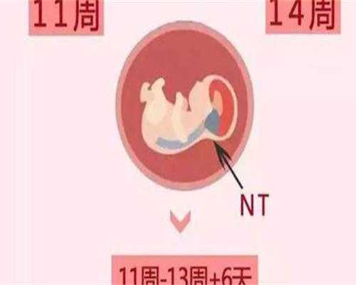 辅助生殖科普